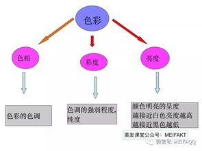 美發(fā)染發(fā)基礎(chǔ)知識軟件