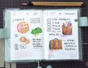 學(xué)設(shè)計(jì)應(yīng)該畫什么基礎(chǔ)知識