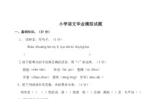 小學(xué)語文畢業(yè)基礎(chǔ)知識試題及答案