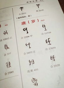 甲骨文,基礎(chǔ)知識(shí),研究