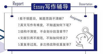 群文專業(yè)基礎(chǔ)理論知識(shí)