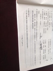 基礎知識,單元,語文