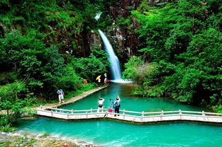 貴陽(yáng)市花溪區(qū)公共基礎(chǔ)知識(shí)