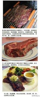 基礎(chǔ)牛排知識(shí)
