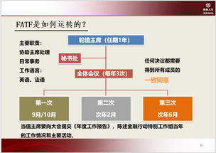 賬戶管理及反洗錢基礎(chǔ)知識
