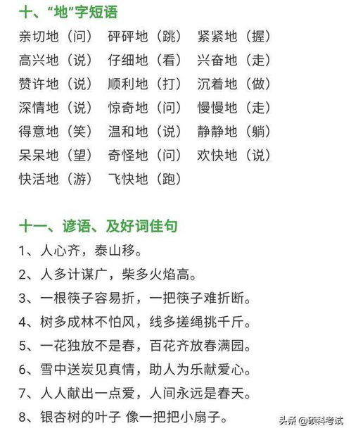 上冊,基礎(chǔ)知識,小學(xué)生,語文