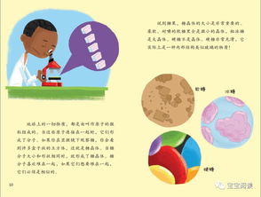 如何打好科學(xué)基礎(chǔ)知識