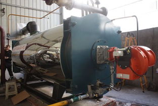 基礎(chǔ)知識,鍋爐,燃氣,導熱油