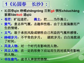 高中語文基礎(chǔ)知識ppt免費