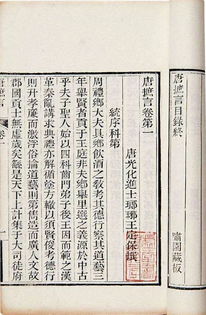 儒林外史有關(guān)基礎(chǔ)知識