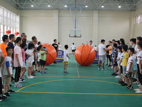 籃球基礎(chǔ)知識培訓(xùn)