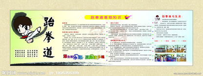 跆拳道,基礎知識,兒童