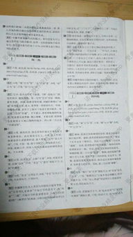 中考語(yǔ)文基礎(chǔ)知識(shí)輔導(dǎo)書(shū)