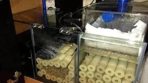 養(yǎng)魚基礎(chǔ)知識過濾系統(tǒng)濾材