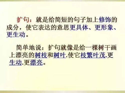 語(yǔ)文基礎(chǔ)及寫作基礎(chǔ)知識(shí)