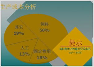 基礎(chǔ)知識(shí),營(yíng)養(yǎng)