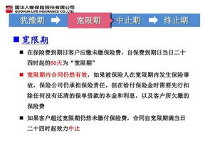 保險基礎(chǔ)知識怎么介紹