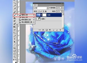 圖層,基礎(chǔ)知識(shí),ps