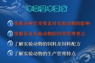 基礎(chǔ)知識,動物實驗