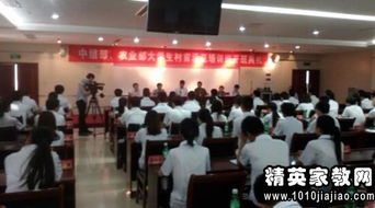 團基礎(chǔ)知識講座心得體會