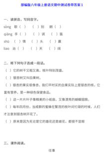 六年級語文基礎(chǔ)知識題,六年級語文基礎(chǔ)知識歸納,六年級下冊語文基礎(chǔ)知識