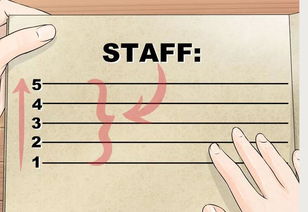 小學(xué)音樂基礎(chǔ)知識五線譜