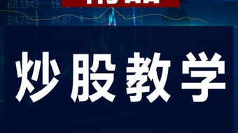 股票入門(mén)基礎(chǔ)知識(shí)電子書(shū)免費(fèi),股票入門(mén)基礎(chǔ)知識(shí)txt免費(fèi),股票入門(mén)基礎(chǔ)知識(shí)的書(shū)