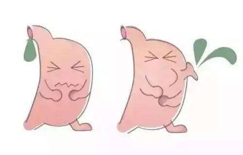 胃腸炎,基礎知識