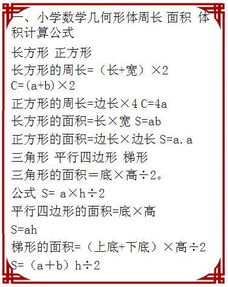 小學(xué)數(shù)學(xué)基礎(chǔ)知識大全,小學(xué)數(shù)學(xué)基礎(chǔ)知識總結(jié),小學(xué)數(shù)學(xué)基礎(chǔ)知識和基本技能