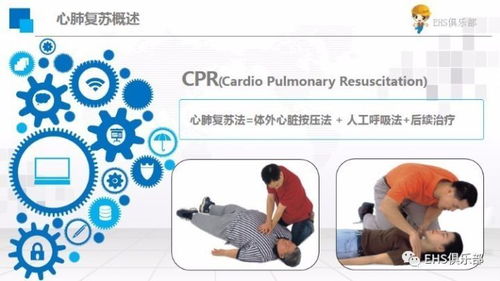 急救基礎(chǔ)知識(shí)心得體會(huì)