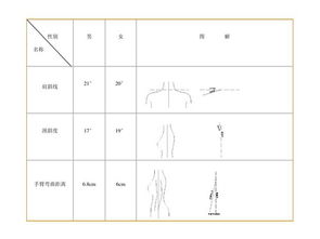 服裝結(jié)構(gòu)設(shè)計(jì)基礎(chǔ)基礎(chǔ)知識(shí)教案