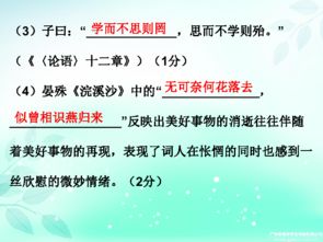 中考基礎(chǔ)知識ppt