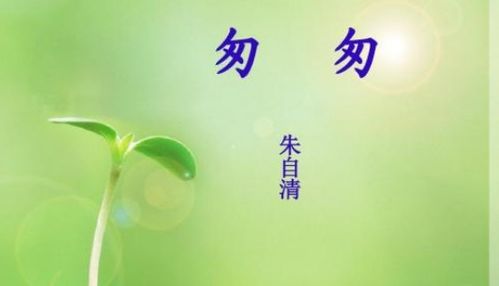 基礎(chǔ)知識(shí)