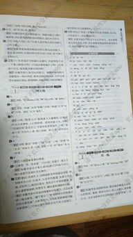 語文基礎(chǔ)知識(shí)題及答案,語文語法基礎(chǔ)知識(shí),語文基礎(chǔ)知識(shí)題庫