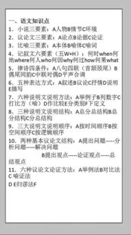 初中語文基礎(chǔ)知識專題