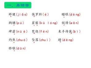 人教版四年級上冊語文基礎(chǔ)知識,人教版五年級下冊語文基礎(chǔ)知識歸納,人教版四年級上冊語文基礎(chǔ)知識專項(xiàng)