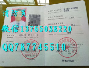 消防員,建構(gòu),基礎(chǔ)知識