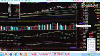 基礎(chǔ)知識,股票