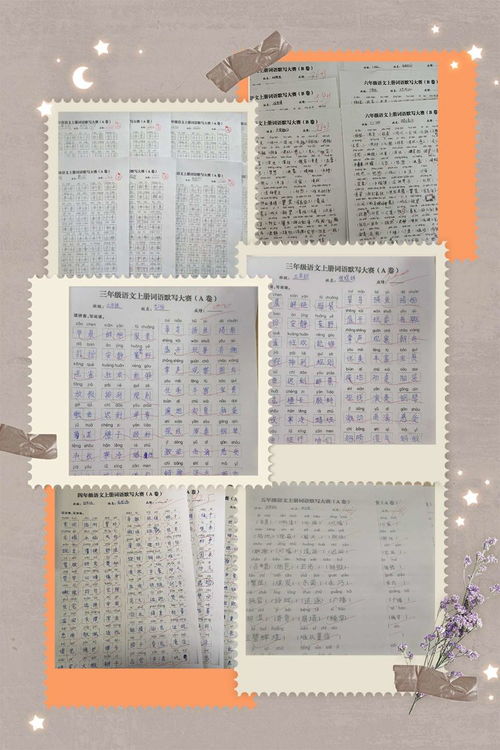 小學(xué)生如何夯實(shí)基礎(chǔ)知識(shí)