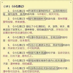 怎樣訓練孩子的語文基礎(chǔ)知識