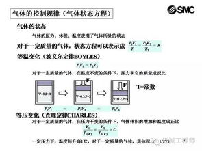 科目一理論基礎知識大全,駕考科目一理論基礎知識,科目一的基礎知識