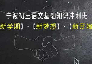 初三語文基礎(chǔ)知識怎樣提高,初三語文基礎(chǔ)知識題庫,初三語文基礎(chǔ)知識專項訓(xùn)練