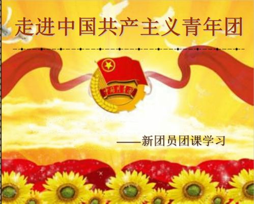 高中基礎(chǔ)團務(wù)知識團課