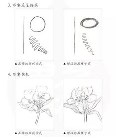 手繪,基礎(chǔ)知識(shí),入門,cad