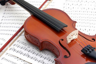 小提琴五線(xiàn)譜入門(mén)基礎(chǔ)教程,五線(xiàn)譜入門(mén)基礎(chǔ)知識(shí),五線(xiàn)譜入門(mén)零基礎(chǔ)知識(shí)