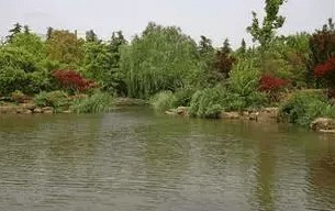 水生態(tài)構(gòu)建常見動植物基礎(chǔ)知識