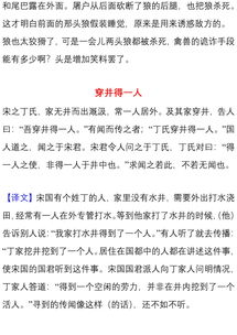 7級上冊基礎(chǔ)知識