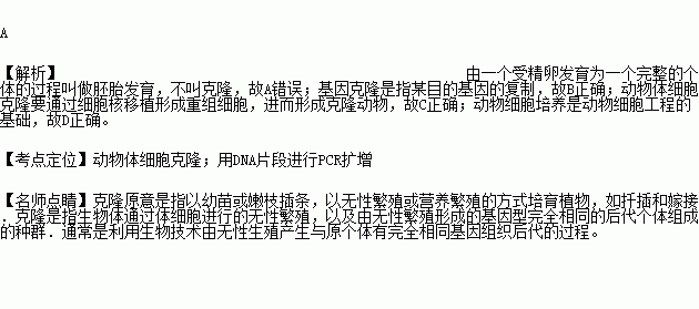 動物的克隆基礎(chǔ)知識