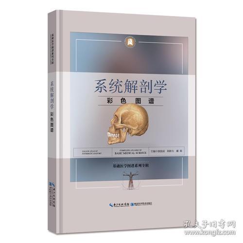 醫(yī)學(xué)知識(shí),解剖學(xué),基礎(chǔ)