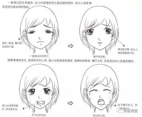 面部畫(huà)法基礎(chǔ)知識(shí)